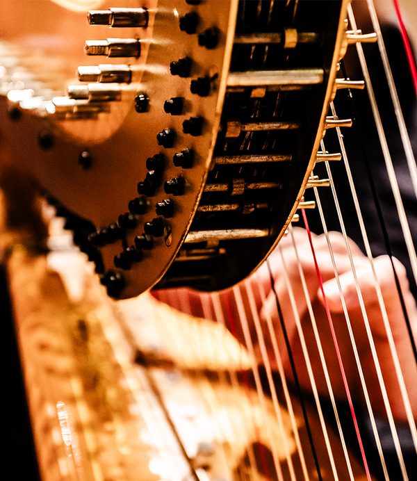 Close up of hands on harp strings.