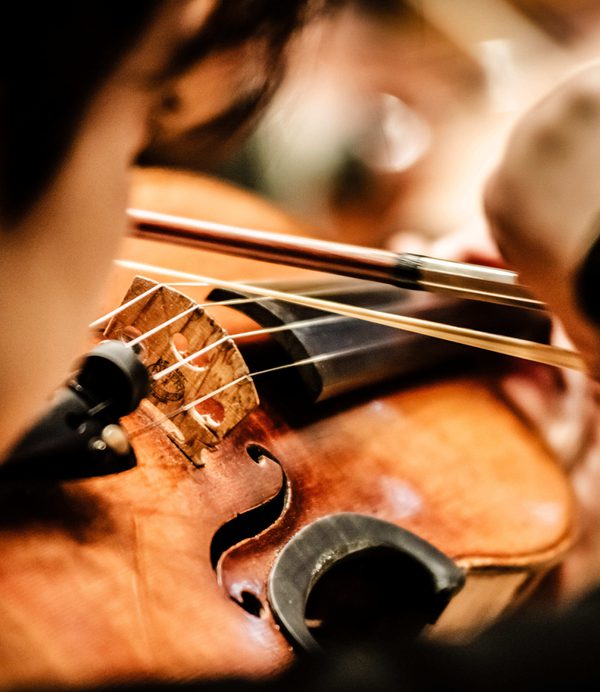 Close up of a violin being played