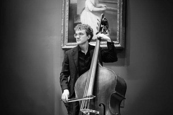 A double bassist in front of an oil painting.