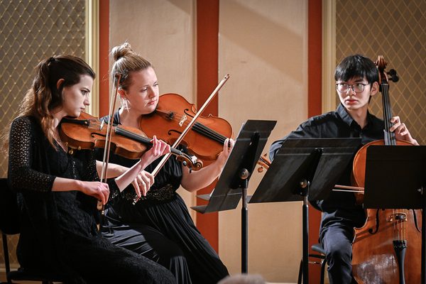 Three strings musicians playing