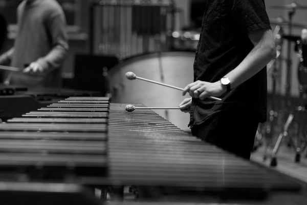 Close up of the keys of a marimba being struck with batons.
