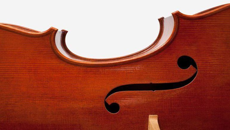 Close up of the waist and 'f' hole of a violin from the Calleva foundation.