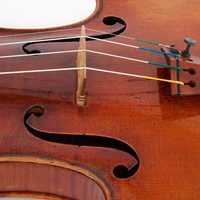 Close up of the bridge on the A Viotti ex Bruce Stradivarius.