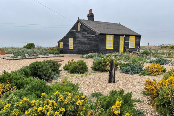 A black wood traditional coastal house sitting on a shingle beach surrounded by green foliage and yellow flowers.